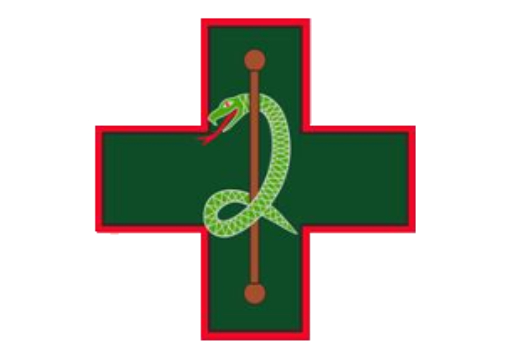 2_Medical_Regiment